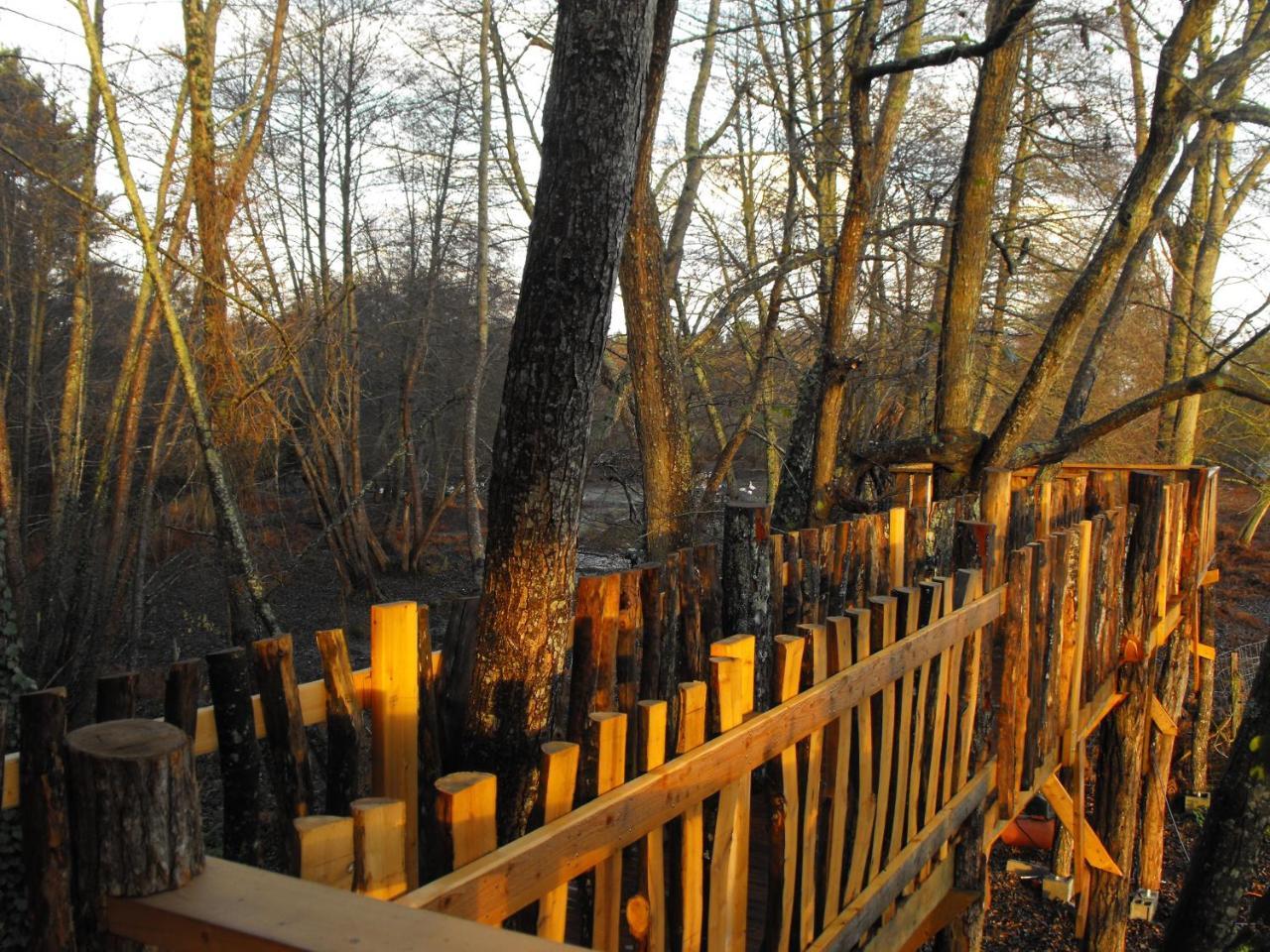 Cabane Des Cerfs Allons  Exterior foto
